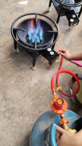 Portable Liquefied Petroleum Gas (LPG) Gas Stove Natural Gas With Flame Protection High-flame Stove Rack For Outdoor Cooking