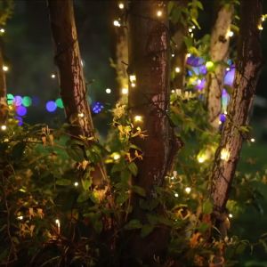 Black wire Solar fairy light Upgrade 22M Solar led light strip Auto On/Off 200LED Hari raya Decoration 2025 Colorful Solar light Ramadhan Lampu Raya Warna warni