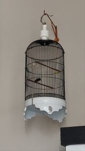 RAJA NECTAR !!! NECTAR PALING DI CARI | NECTAR PALING GACIR DAN NGOBRA | PAKAN BURUNG KONIN | SOGON | ESXTA NUTRISI - Rajut Panjang 35-40cm Lingkar 18cm (Ready Stok) - Bahan Elastis dengan Beragam Warna (1 kg Muat 30 Pcs) - Matt Bahan - Hitam