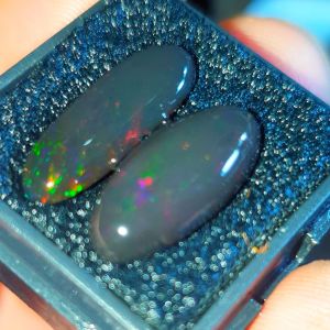 paket kalimaya black opal banten