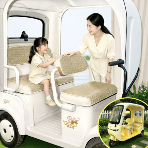 Cool Summer E-Trike Seat Cover for Dali Angela