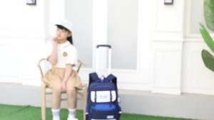 (50L) Durable Multipurpose Sekolah Backpack With Wheels Outdoor School Bag Multi Pockets Waterproof Tear Resistant