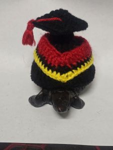 Temsuk : ชุดเต่า ชุดเต่าบก ชุดเต่าซูคาต้า ลายชุดปริญญา 🎓