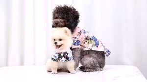 Pet Shirts: Breathable Chiffon & Pineapple Coconut Tree Pattern