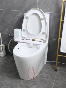 Toilet Bidet Seat Toilet Seat Cover Toilet Bidet Spray Smart Toilet Bidet Seat Instant Heating Bidet Female Hygiene Washer Butt Washing Device Electric Heating Constant Temperature