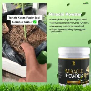 Miracle Powder Pupuk 3 In 1 Pembenah Media Tanam Penyubur Daun Dan Memperkuat Batang 300 gram Infarm