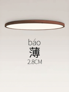 DGY | Retro Mid-century Thin Ceiling Light R335