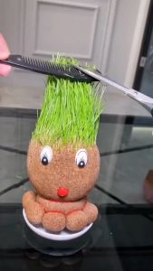 Rumput Patung Tumbuhan Hidup Hiasan Meja Hijau Mudah Jaga Tanaman Mini Pejabat Hadiah Comel Kids Cute Grass Head Doll Big Eyed Flat Headed Rye Grass Office Desktop Green Plant 可爱草头娃娃呆萌大眼仔平头哥黑麦草办公室桌面绿植草植物 A142