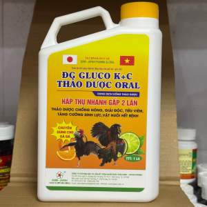 Điện Giải Gluco K+C Thảo Dược Gà Đá 1Lít mát gà tiêu viêm giải độc chống nóng tăng đề kháng