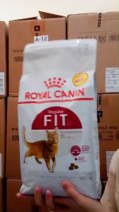 Royal Canin Fit 32 อาหารแมวแบบเม็ด สำหรับแมวโตอายุ 1 ปีขึ้นไป ขนาด (400 g.) (2 kg.) (4 kg.) และ (10 kg.)