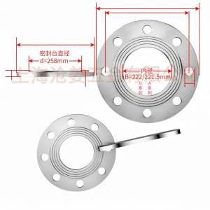 CANGJIANG | Stainless Steel Weld Neck Flanges
