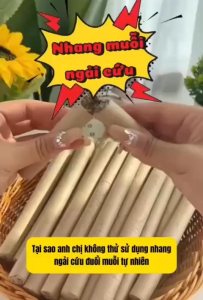 HỘP 10 CÂY NHANG NGẢI CỨU XÔNG NHÀ ĐUỔI MUỖI THƯ GIÃN GIẢM STRESS