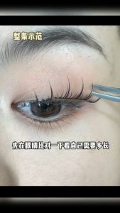 Reuseable False Lashes Fake Eyelashes lashes Palsu eyelash bulu mata palsu 假睫毛 鱼尾仙子毛 假睫毛 睫毛 小恶魔睫毛