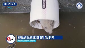 Penutup Pipa Pembuangan Saluran Air Got Cegah Hewan Serangga Tikus Masuk Ukuran 4 Inchi