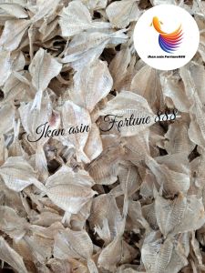 Ikan Asin Kapasan Tawar Ada Tulang Super