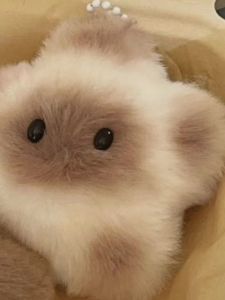 Defasilk | Creative Backpack Couples Furry Keychain Car Book Bag Small Plush Toy