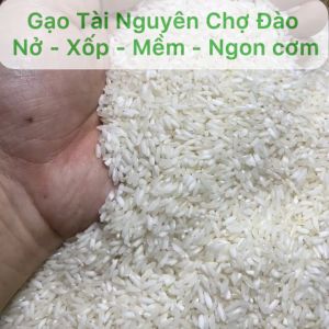 Gạo Tài Nguyên Chợ Đào Túi 5Kg - Dòng gạo khô Nở xốp mềm ngon cơm thích hợp cho người không thích ăn gạo dẻo - Ý Gạo 4 Quận 7