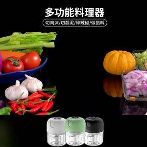Electric Mini Garlic Chopper Portable USB Vegetable Chopper Onion Mincer Food Processor for Chili Fruit Meat Kitchen Supplies