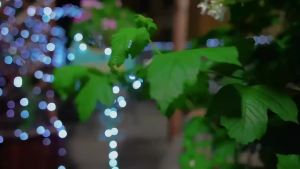 Halloween Lights Solar Purple Orange Copper Wire Fairy String Lights 8 Modes Auto On at Night for Yard Porch Party Decor