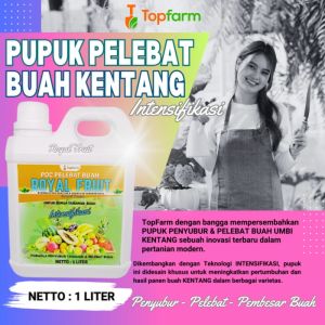 Pupuk Pembesar Umbi Kentang: Solusi Optimal untuk Petani
