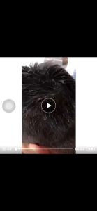 Shampo Kemiriku Penghilang Uban Permanen