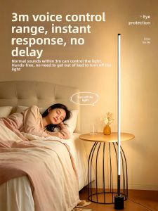 jiuxin lighting | Atmospheric Voice-Controlled Remote Stand Lamp