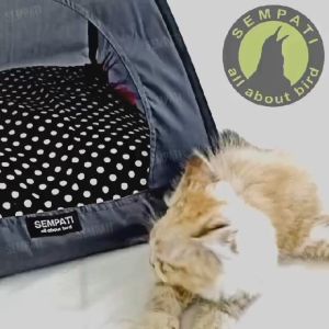 SEMPATI Kasur Bantal Tempat Tidur Kucing Model Tenda Hewan Kucing Anjing Cat Kitten Anabul Puppy Include Alas Kasur Bantal Kandang Lipat Portable Hewan Pet Tent