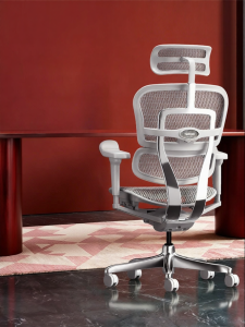 Ergonor | Ergonomic Chair for Long Hours Sitting Home Office Use