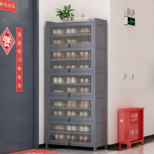 Luxury Lockable Thin Narrow Shoe Cabinet