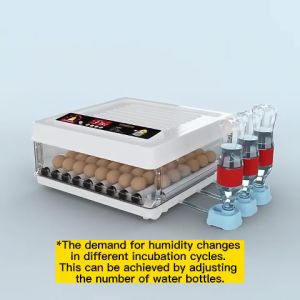 220V/12V Egg Incubator: A Comprehensive Guide