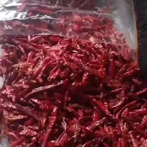 CABE KERING TEJA/JAPLAK TANPA TANGKAI SUPER PEDAS KEMASAN 1KG