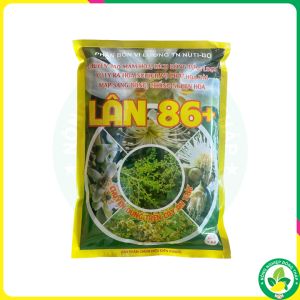 Phân Bón VL TN NUTI-BO LÂN 86+ Chuyên Dùng Trên Cây Ăn Trái – Chuyên Tạo Mầm Hoa Kích Bông Đồng Loạt Xử Lý Ra Hoa Nghịch Vụ Phát Hoa Dài Mập Sáng Bóng Chống Nghẹn Hoa (Gói 1kg)