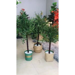 Cây oliu giả - thân gỗ - Size từ 80cm đến 130cm - Cây giả hoa lụa Decor trang trí nhà cửa