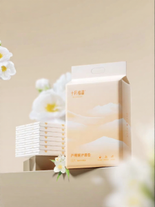 SHI YUE JIE JING | Postpartum Maternity Pad 10 Sheets