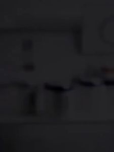 SHENAR Dispenser Beras 5KG/10KG Free Gelas Takar Tempat Wadah Penyimpanan Beras Rice Bucket Anti Kutu / Rice Dispenser