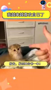 正版 我越来越喜欢自己了 燕七⊙著『停止精神内耗享受松弛人生|一个人的乐观和热爱才是疲惫生活的解药』一页都不想错过的治愈漫画书