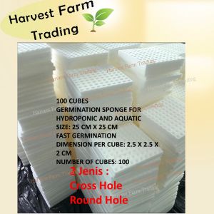 Hydroponic Set Sponge rockwool Hidroponik Span pot system pipe Germination seedling starter kit plant seeds benih murah