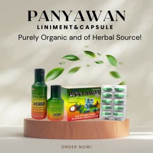 Panyawan Plus Capsule Luyang Dilaw Mangosteen and Makabuhay 100 Caps Panyawan Plus Tablet Price - Lazada
