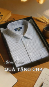Áo Sơ Mi Nam Công Sở Trung Niên Dài Tay Thương Hiệu Anton Vải Cotton Kẻ Dọc Đen AC151