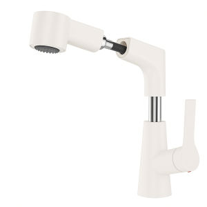 TAOSHI | Cold & Hot Dual-Use Pull-Out Faucet for Washbasin