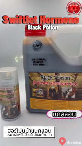 BlackPotion Swiftlet Hormone Spray สเปรย์ฮอร์โมนคุณภาพ ปรับสภาพบ้านนกแอ่น ดึงดูดนกทำรังได้เร็วขึ้น