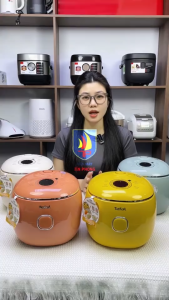 Nồi cơm điện tử Mini Tefal Pop 0.7L RK535 | RK5354Y0 | RK535AY0 | RK535TY0 | RK5352Y0-Bảo hành 2 năm