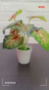 PT37 Pot Tanaman Hias Bunga Hias Plastik Ornamen Pot Bonsai Artificial Flower Decoration Tanaman Plastik