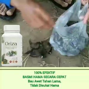 Pupuk Oriza Anti Hama 3 GRATIS 1 ALFAGREEN - Oriza Pupuk Pestisida Fungisida Insektisida Organik Pembasmi Hama|𝗣𝗲𝘀𝘁𝗶𝘀𝗶𝗱𝗮 𝗡𝗮𝗯𝗮𝘁𝗶