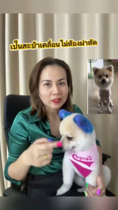 Petoya คอลลาเจนญี่ปุ่นบำรุงข้อและขน สำหรับหมาและแมว สูตร Joint Focus เห็นผลไว