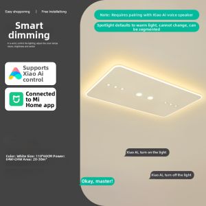 Elegant Minimalist LED Lighting Fixture