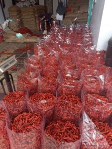 PROMO CABE RAWIIT /CAPLAK KEMASAN 1 KG PACKING