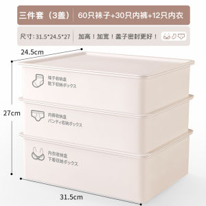 Intimates Storage Box For Home Drawer-Type Compartment Handy Gadget Wardrobe Personal Clothing Panty Socks Three-in-One Storage Box