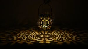 BOSCA Outdoor Garden Solar Lights: Perfect Christmas & Holiday Decor