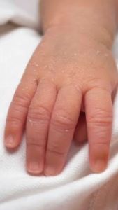 Nuudo Moisturizing Body Lotion 250ml